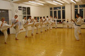 Neues Dojo 2011